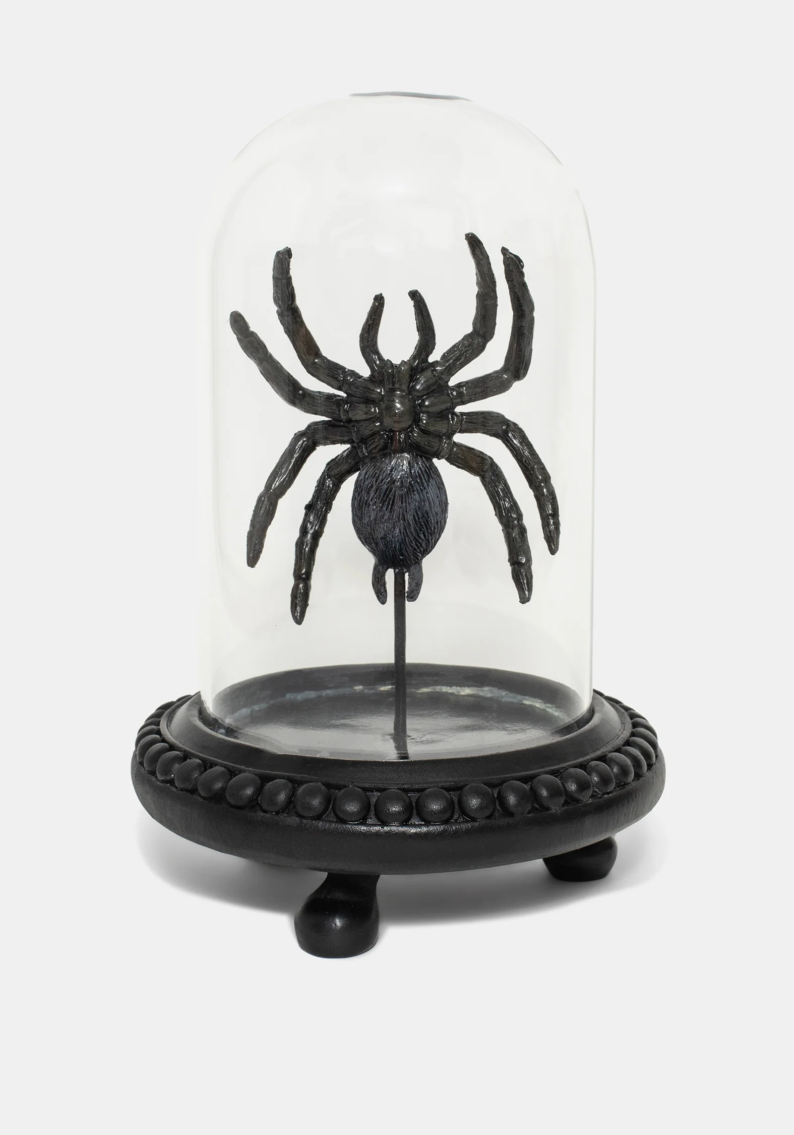 Arachne Spider In Jar - Image 5