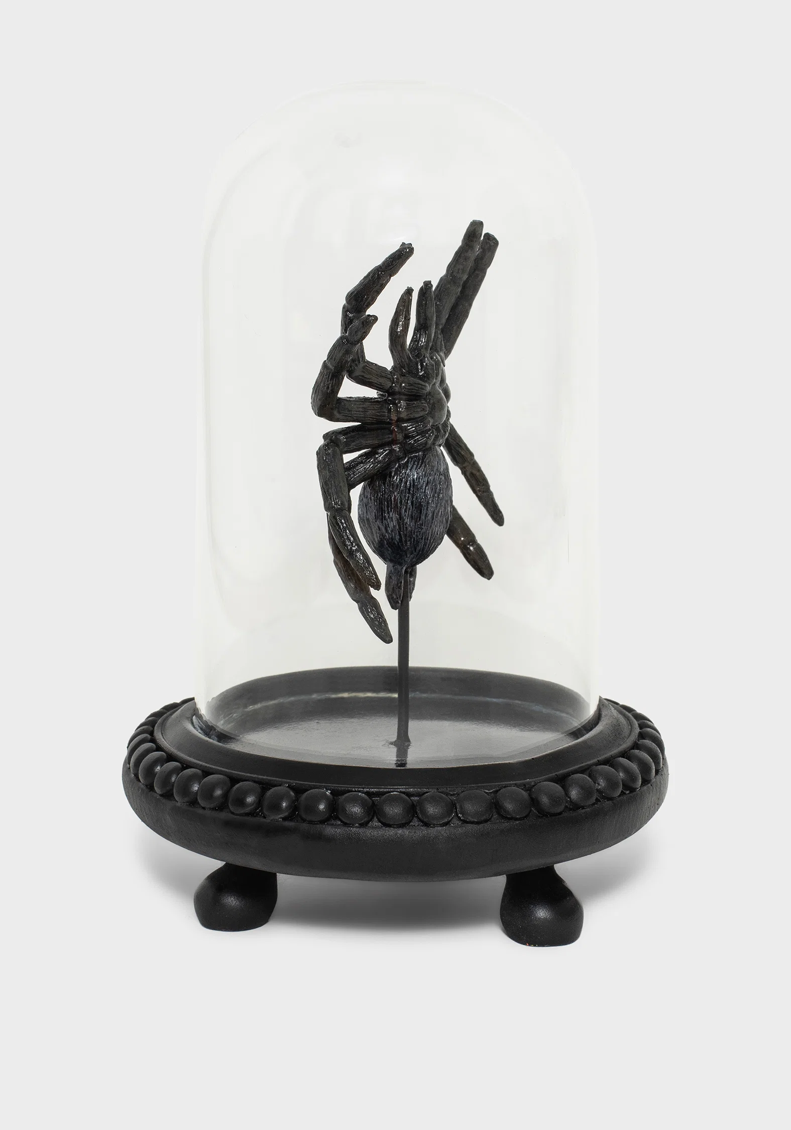 Arachne Spider In Jar - Image 6