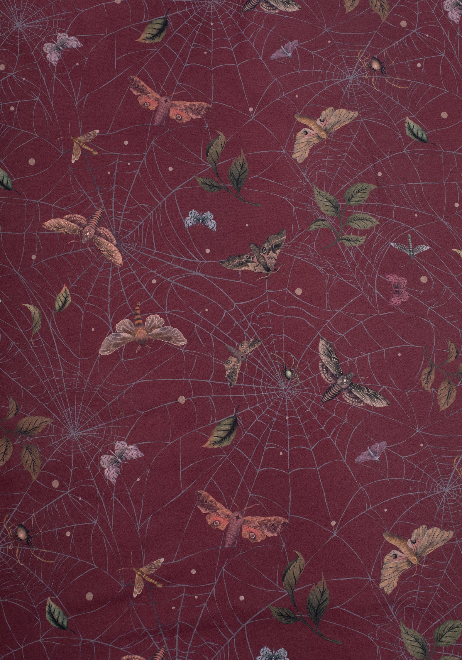 Celia Moth Web Bedding (UK King) - Image 3