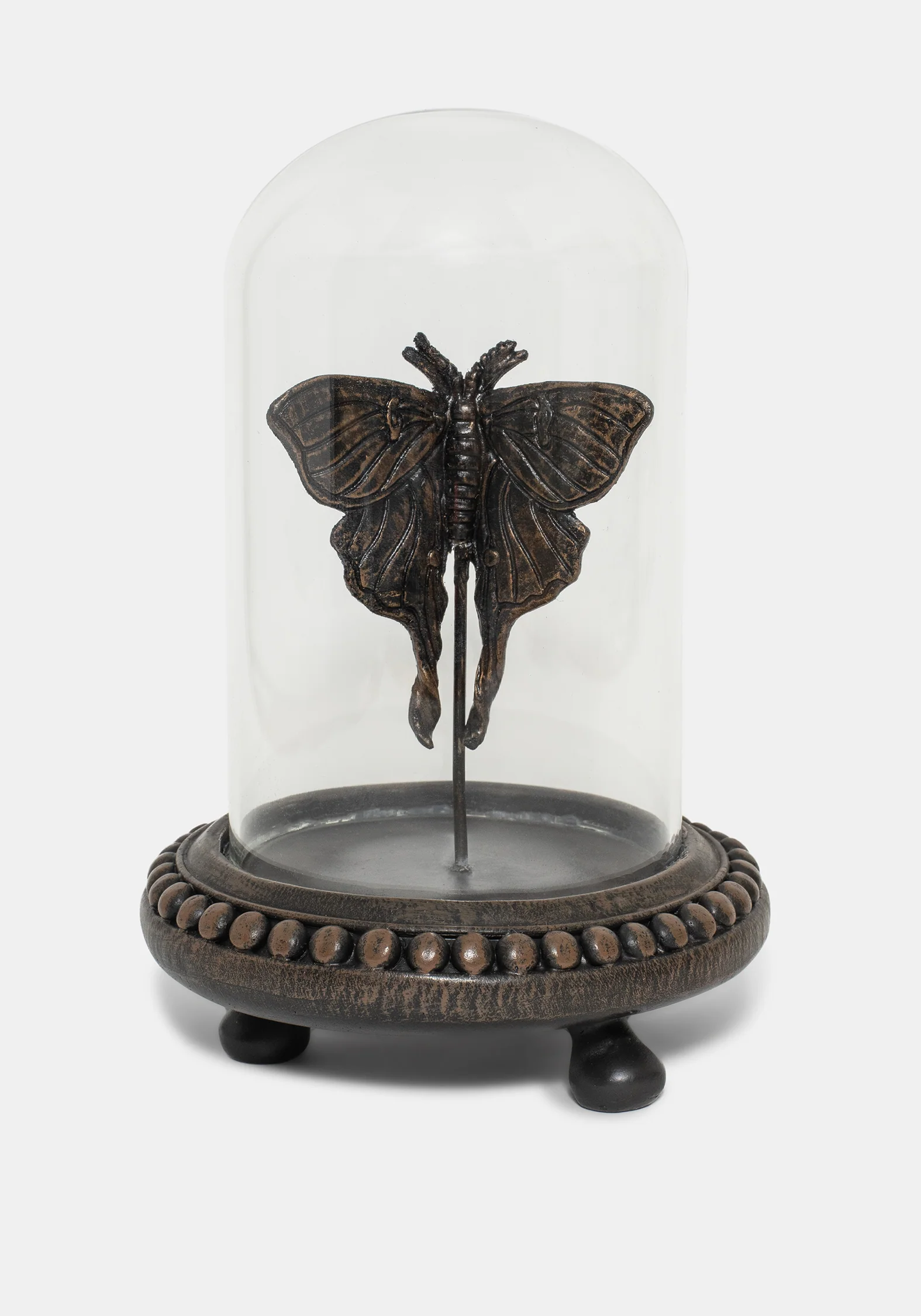 Luna Moth In Jar - Image 2