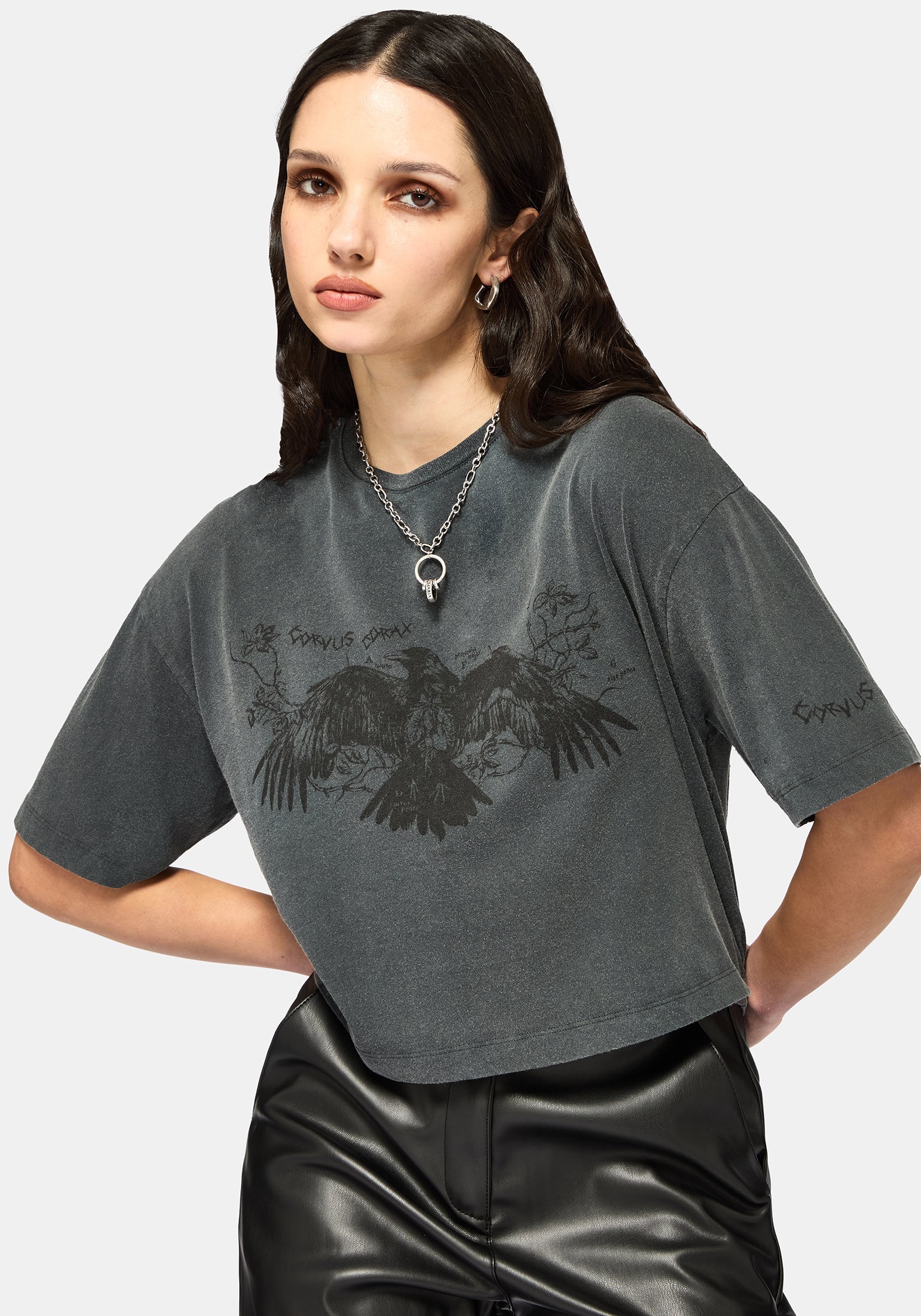 Raven Washed Boxy Crop T-Shirt - Image 4
