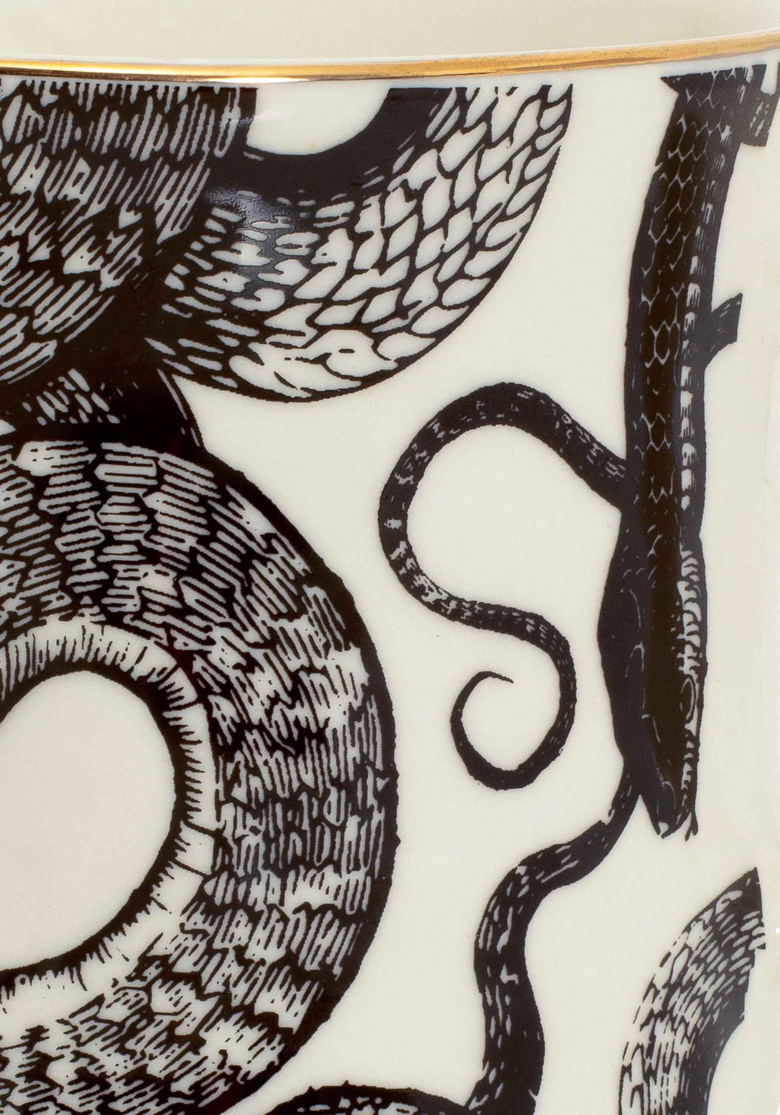 Saraph Snakes Mug - Image 3
