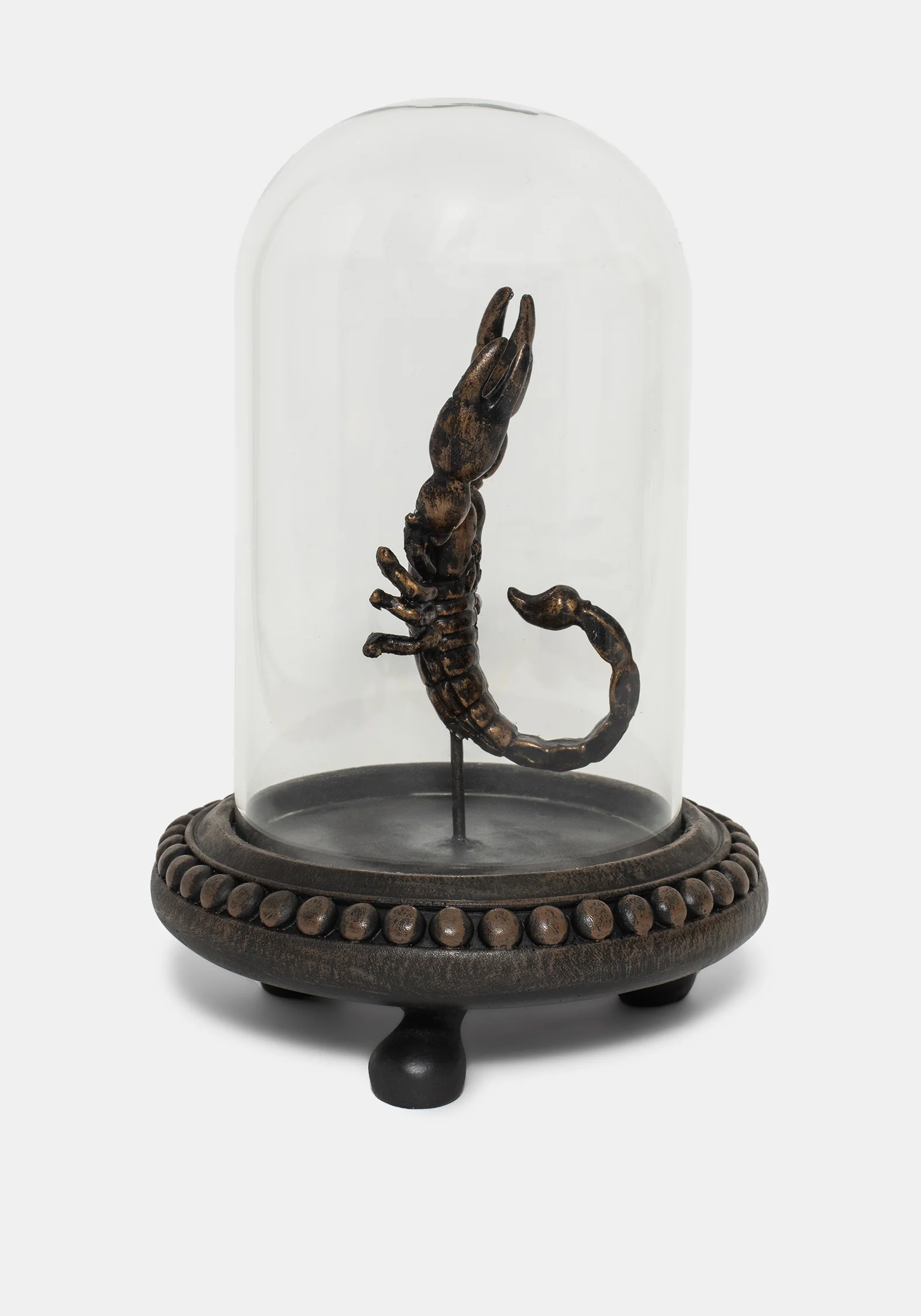 Skara Scorpion In Jar - Image 4