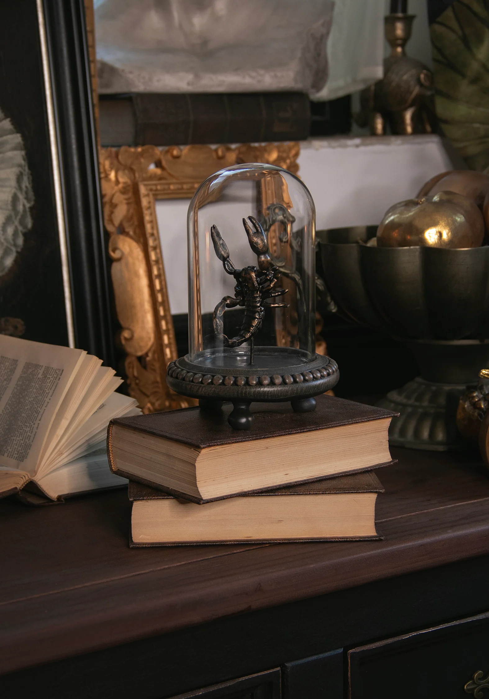 Skara Scorpion In Jar - Image 6