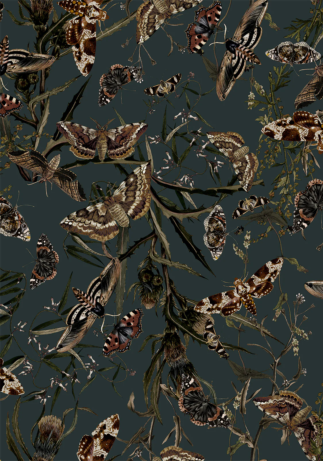 Whispen Moth Print Midi Shirt Dress - Image 8
